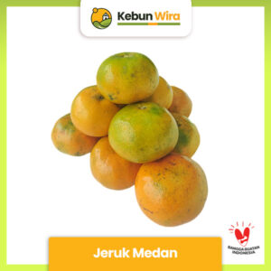 Jeruk Medan